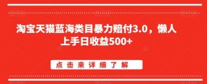 淘宝天猫蓝海类目暴力赔付3.0，懒人上手日收益500+【仅揭秘】-搞薯条网