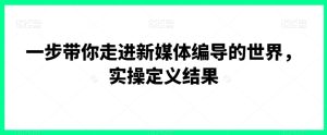 一步带你走进新媒体编导的世界,实操定义结果-搞薯条网