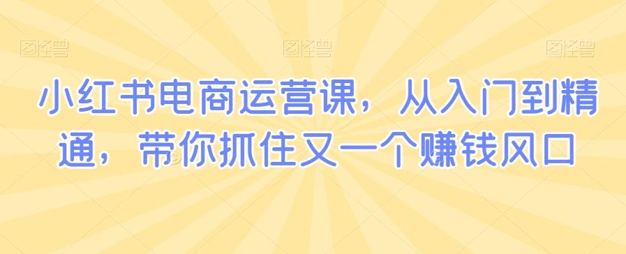 小红书电商运营课，从入门到精通，带你抓住又一个赚钱风口-森森项目库