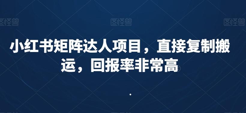 小红书矩阵达人项目，直接复制搬运，回报率非常高 - 搞薯条网-搞薯条网