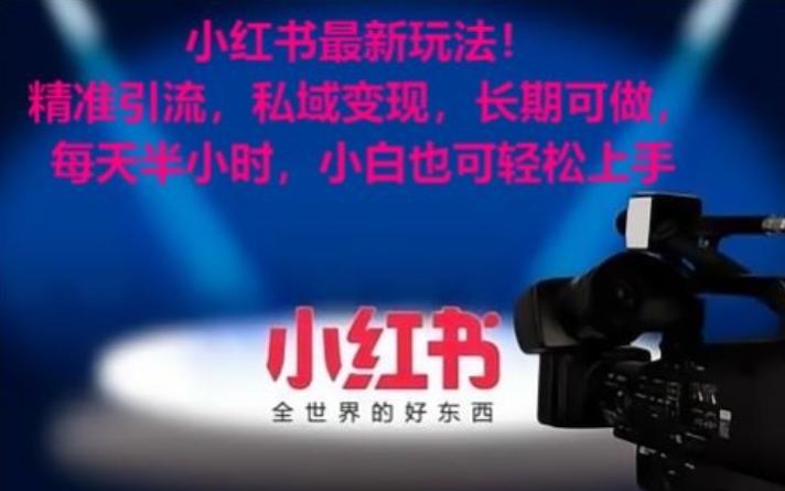 小红书最新玩法！精准引流，私域变现，长期可做，每天半小时，小白也可轻松上手【揭秘】 - 搞薯条网-搞薯条网