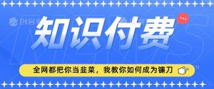2024最新知识付费项目,小白也能轻松入局,全网都在教你做项目,我教你做镰刀【揭秘】-搞薯条网