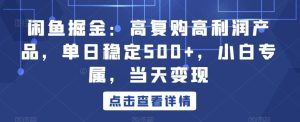 闲鱼掘金:高复购高利润产品,单日稳定500+,小白专属,当天变现-搞薯条网