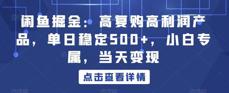 闲鱼掘金：高复购高利润产品，单日稳定500+，小白专属，当天变现 - 搞薯条网-搞薯条网