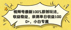 视频号最新100%原创玩法，收益稳定，亲测单日收益1000+，小白专属【揭秘】-搞薯条网