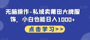 无脑操作-私域卖莆田大牌服饰,小白也能日入1000+-搞薯条网
