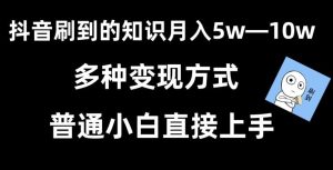 抖音刷到的知识，每天只需2小时，日入2000+，暴力变现，普通小白直接上手【揭秘】-搞薯条网