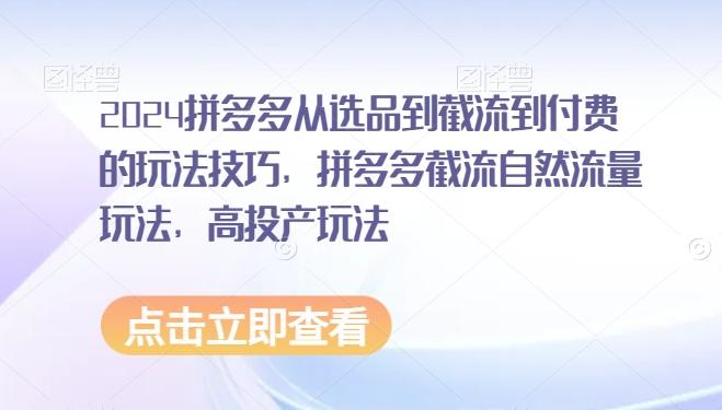 2024拼多多从选品到截流到付费的玩法技巧，拼多多截流自然流量玩法，高投产玩法 - 搞薯条网-搞薯条网