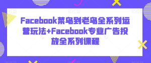 Facebook菜鸟到老鸟全系列运营玩法+Facebook专业广告投放全系列课程-搞薯条网