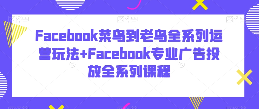 Facebook菜鸟到老鸟全系列运营玩法+Facebook专业广告投放全系列课程-森森项目库