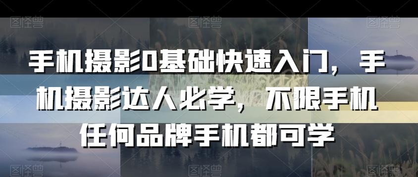 手机摄影0基础快速入门，手机摄影达人必学，不限手机任何品牌手机都可学 - 搞薯条网-搞薯条网