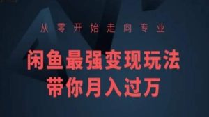 从零开始走向专业,闲鱼最强变现玩法带你月入过万-搞薯条网