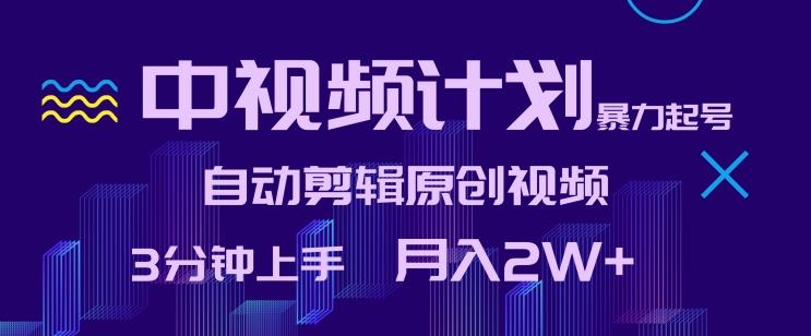 中视频计划暴力起号，自动剪辑原创视频，3分钟上手，月入2W+【揭秘】 - 搞薯条网-搞薯条网