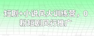 短剧+小说风火训练营，0粉短剧风行推广-搞薯条网
