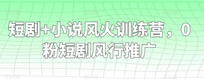 短剧+小说风火训练营，0粉短剧风行推广-森森项目库