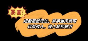 短剧最新玩法,新手当天就可以有收入,收入轻松破万【揭秘】-搞薯条网