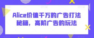Alice价值千万的广告打法秘籍,高阶广告的玩法-搞薯条网