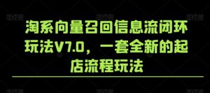 淘系向量召回信息流闭环玩法V7.0，一套全新的起店流程玩法-搞薯条网