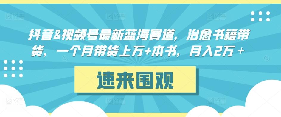 抖音&视频号最新蓝海赛道，治愈书籍带货，一个月带货上万+本书，月入2万＋【揭秘】-森森项目库