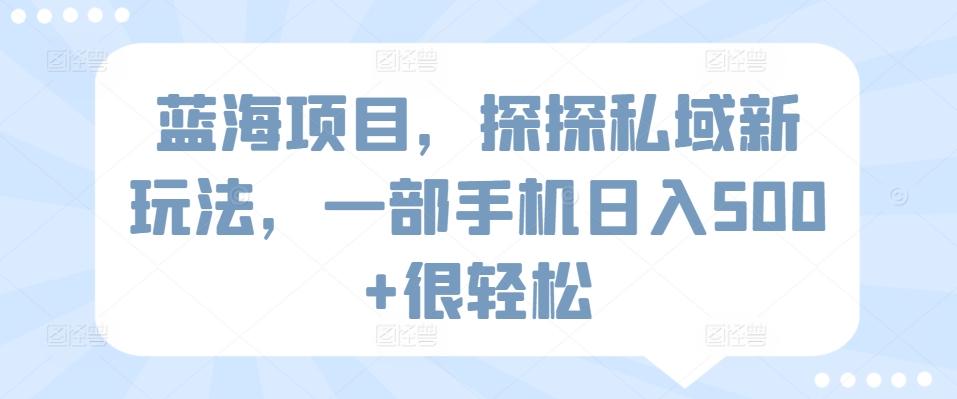 蓝海项目，探探私域新玩法，一部手机日入500+很轻松【揭秘】 - 搞薯条网-搞薯条网