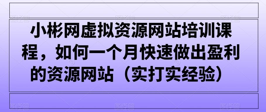 小彬网虚拟资源网站培训课程，如何一个月快速做出盈利的资源网站(实打实经验) - 搞薯条网-搞薯条网