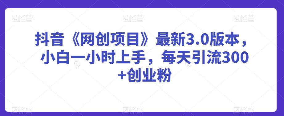 抖音《网创项目》最新3.0版本，小白一小时上手，每天引流300+创业粉【揭秘】 - 搞薯条网-搞薯条网