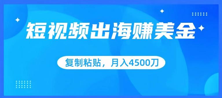 短视频出海赚美金，复制粘贴批量操作，小白轻松掌握，月入4500美刀【揭秘】 - 搞薯条网-搞薯条网