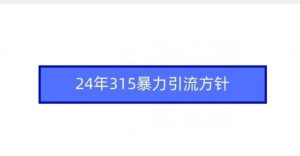 24年315暴力引流方针-搞薯条网