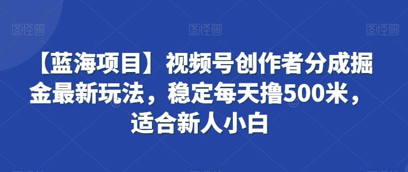 【蓝海项目】视频号创作者分成掘金最新玩法，稳定每天撸500米，适合新人小白【揭秘】 - 搞薯条网-搞薯条网