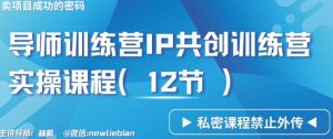导师训练营3.0IP共创训练营私密实操课程(12节)-卖项目的密码成功秘诀【揭秘】-搞薯条网