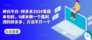 拼多多2024零成本包起,0成本做一个高利润的拼多多,方法不只一个-搞薯条网