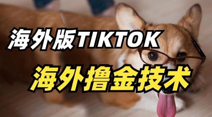 抖音海外版tiktok撸金技术，这个风口行业，赚钱真的不难【揭秘】 - 搞薯条网-搞薯条网