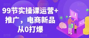 99节实操课运营+推广,电商新品从0打爆-搞薯条网