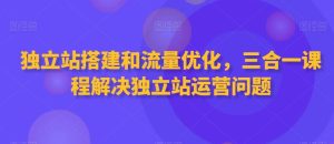 独立站搭建和流量优化,三合一课程解决独立站运营问题-搞薯条网