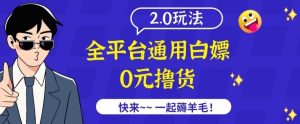 外面收费2980的全平台通用白嫖撸货项目2.0玩法【仅揭秘】-搞薯条网