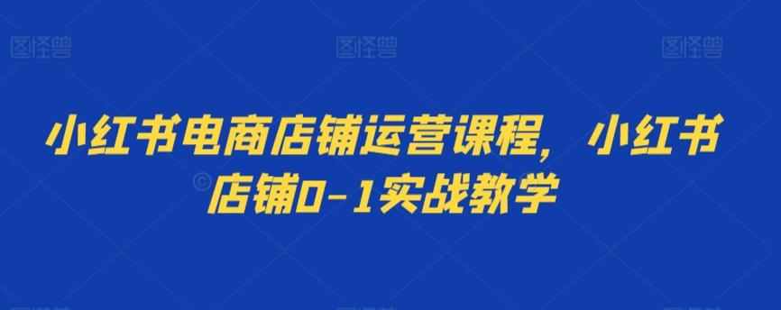 小红书电商店铺运营课程，小红书店铺0-1实战教学-森森项目库