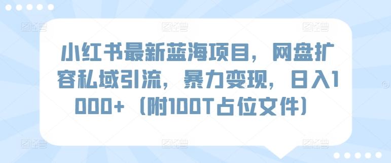 小红书最新蓝海项目，网盘扩容私域引流，暴力变现，日入1000+(附100T占位文件)【揭秘】 - 搞薯条网-搞薯条网