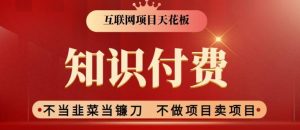2024互联网项目天花板,新手小白也可以通过知识付费月入10W,实现财富自由【揭秘】-搞薯条网