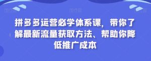 拼多多运营必学体系课，带你了解最新流量获取方法、帮助你降低推广成本-搞薯条网