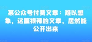 某公众号付费文章：难以想象，这篇狠辣的文章，居然能公开出来-搞薯条网