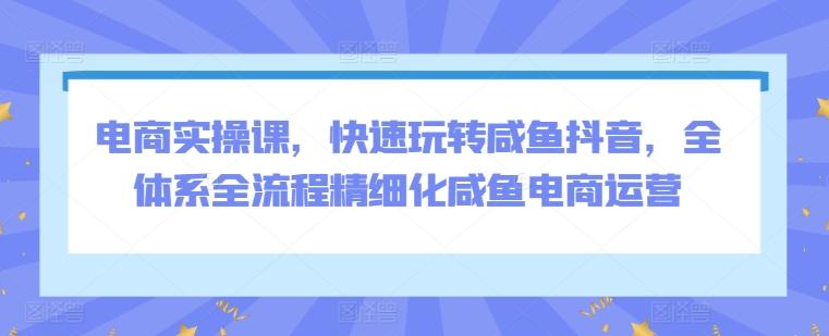 电商实操课，快速玩转咸鱼抖音，全体系全流程精细化咸鱼电商运营 - 搞薯条网-搞薯条网