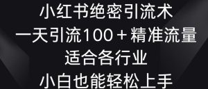 小红书绝密引流术,一天引流100+精准流量,适合各个行业,小白也能轻松上手【揭秘】-搞薯条网