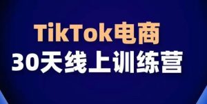 TikTok电商带货30天线上课，不可错过的全球流量洼地！-搞薯条网