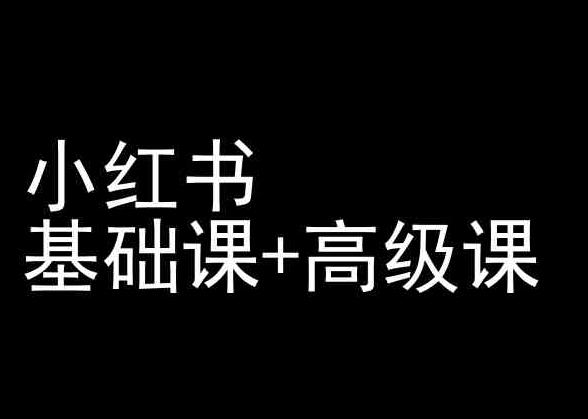 小红书基础课+高级课-小红书运营教程 - 搞薯条网-搞薯条网