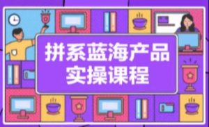 拼系冷门蓝海产品实操课程,从注册店铺到选品上架到流量维护环环相扣-搞薯条网
