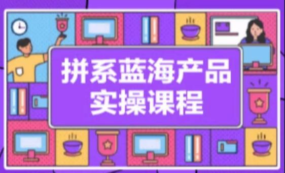 拼系冷门蓝海产品实操课程，从注册店铺到选品上架到流量维护环环相扣 - 搞薯条网-搞薯条网