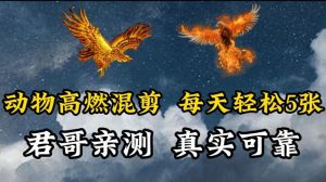 动物超燃混剪,每天轻松5张,剪辑简单大家爱看【揭秘】-搞薯条网