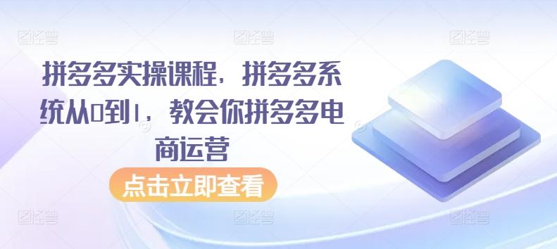 拼多多实操课程，拼多多系统从0到1，教会你拼多多电商运营 - 搞薯条网-搞薯条网