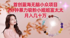 首创蓝海无脑小众项目，2分钟暴力吸粉小姐姐富太太，月入几十万【揭秘】-搞薯条网