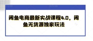 闲鱼电商最新实战课程4.0,闲鱼无货源独家玩法-搞薯条网